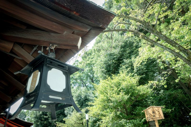 f:id:n_m_res:20200805134446j:plain f:id:n_m_res:20200805134446j:plain