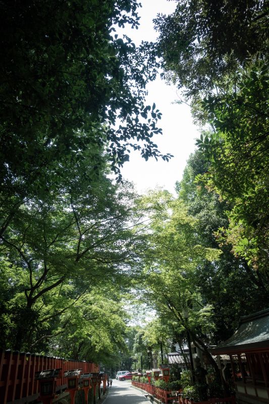 f:id:n_m_res:20200805134459j:plain f:id:n_m_res:20200805134459j:plain