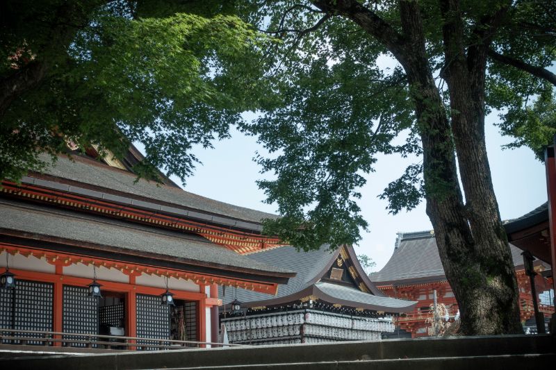 f:id:n_m_res:20200805134501j:plain f:id:n_m_res:20200805134501j:plain