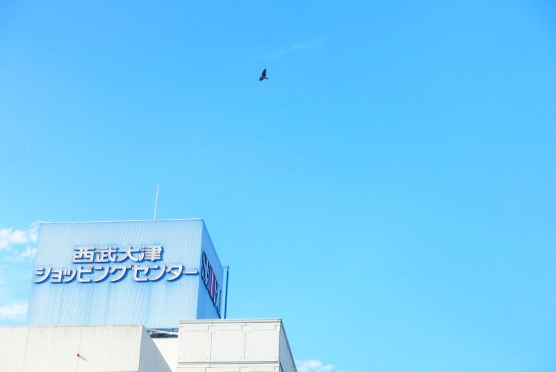f:id:n_m_res:20200831112307j:plain
