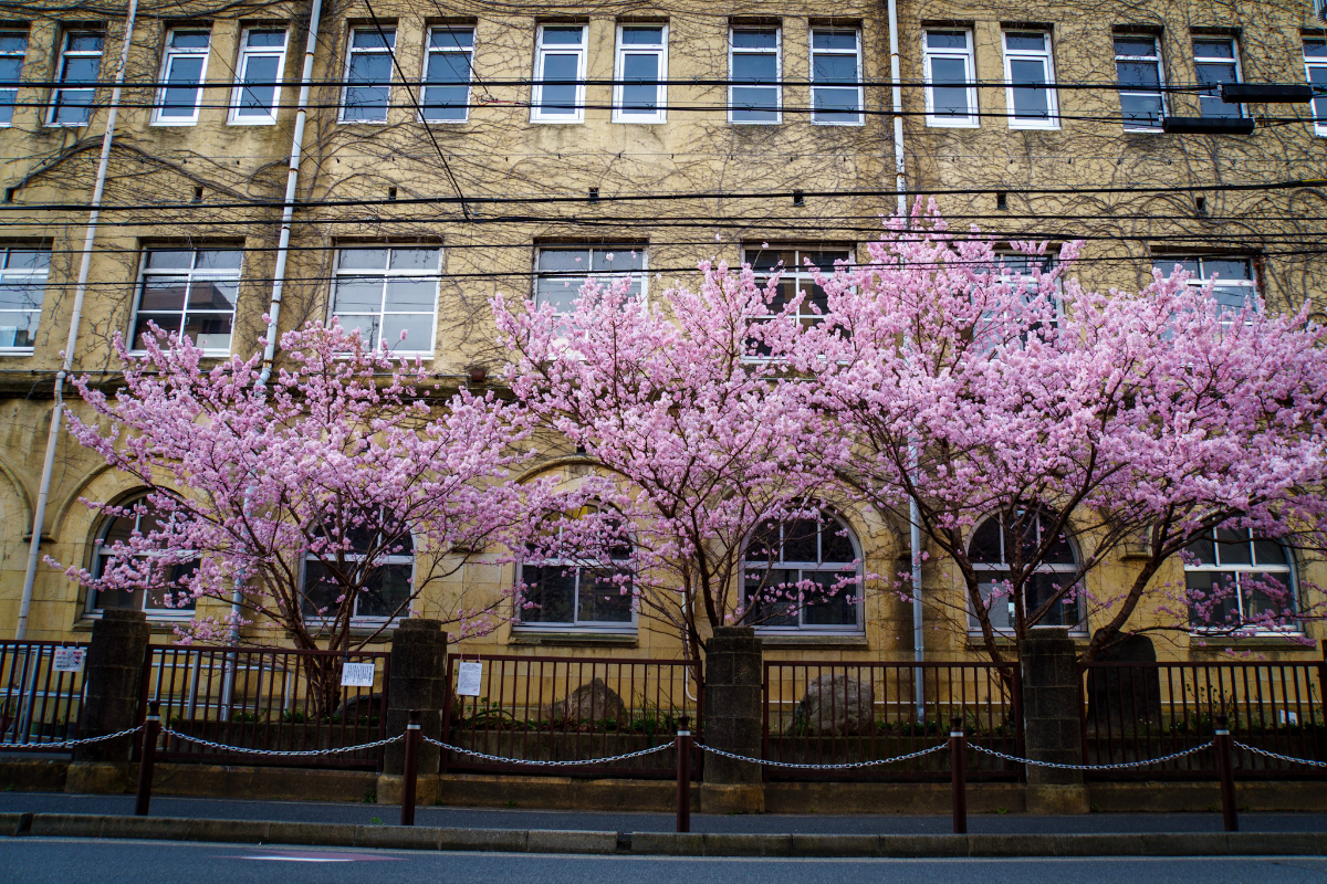 f:id:n_m_res:20210407142528j:plain