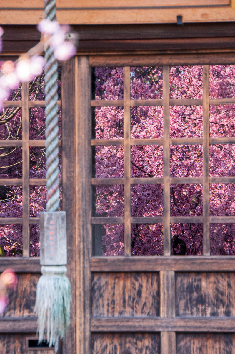 f:id:n_m_res:20210407142537j:plain