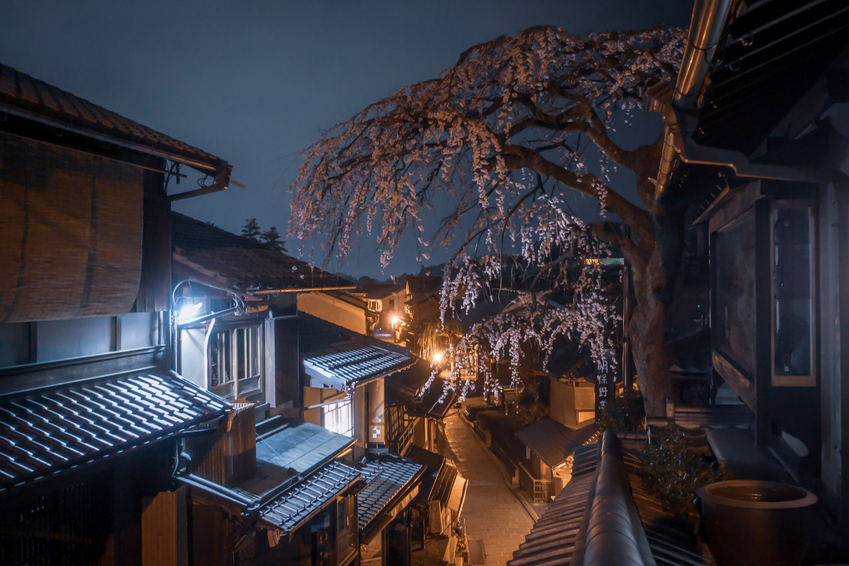 f:id:n_m_res:20210407142809j:plain