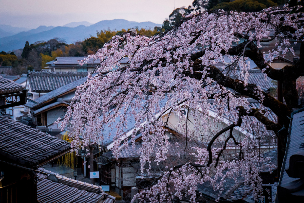 f:id:n_m_res:20210407142820j:plain