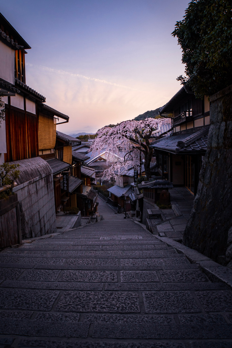 f:id:n_m_res:20210407142823j:plain