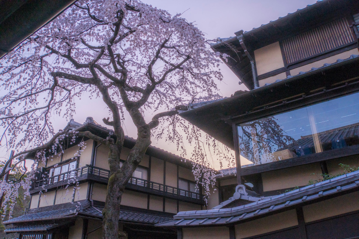 f:id:n_m_res:20210407142826j:plain