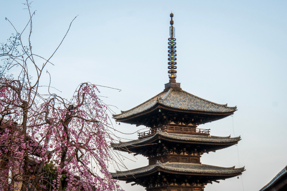 f:id:n_m_res:20210407142836j:plain