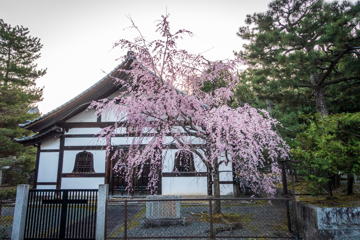 f:id:n_m_res:20210407142850j:plain