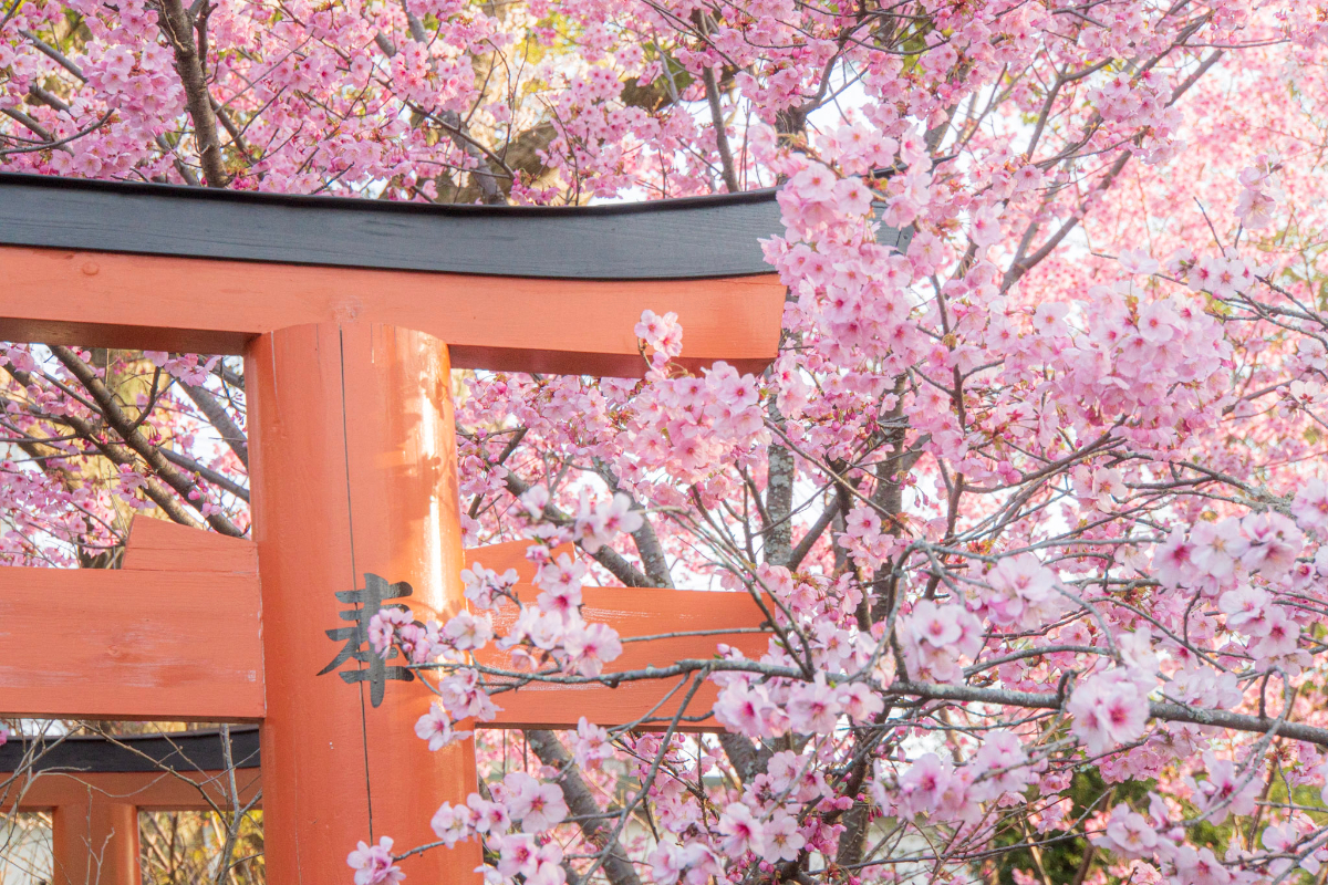 f:id:n_m_res:20210407142910j:plain