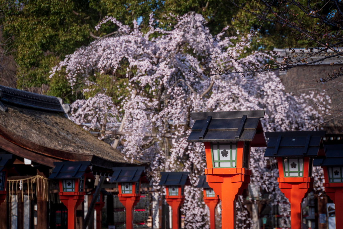 f:id:n_m_res:20210407142914j:plain