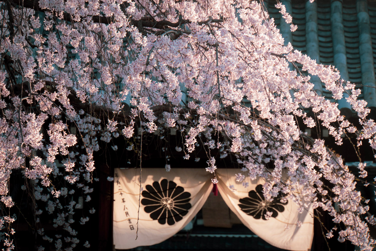 f:id:n_m_res:20210407142937j:plain