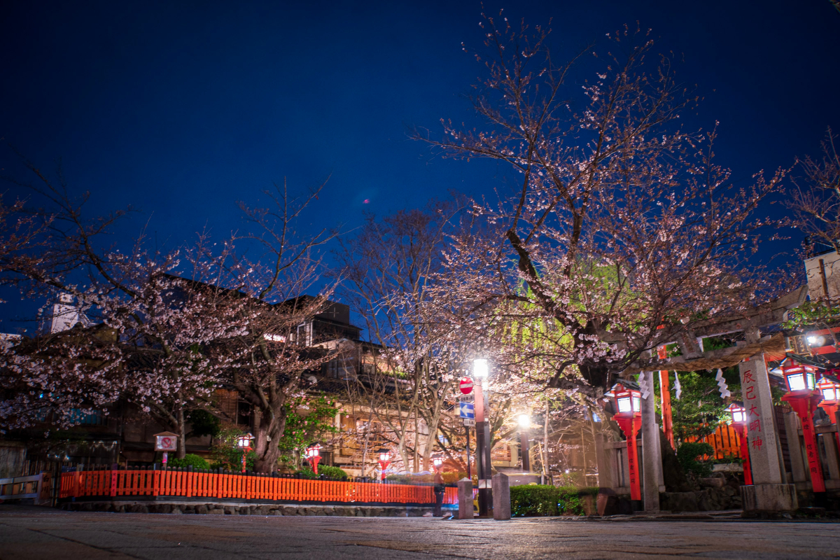 f:id:n_m_res:20210407143034j:plain