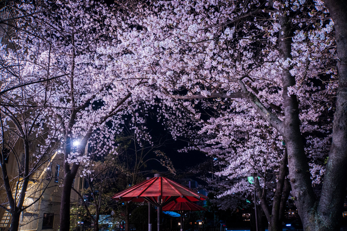 f:id:n_m_res:20210407143038j:plain