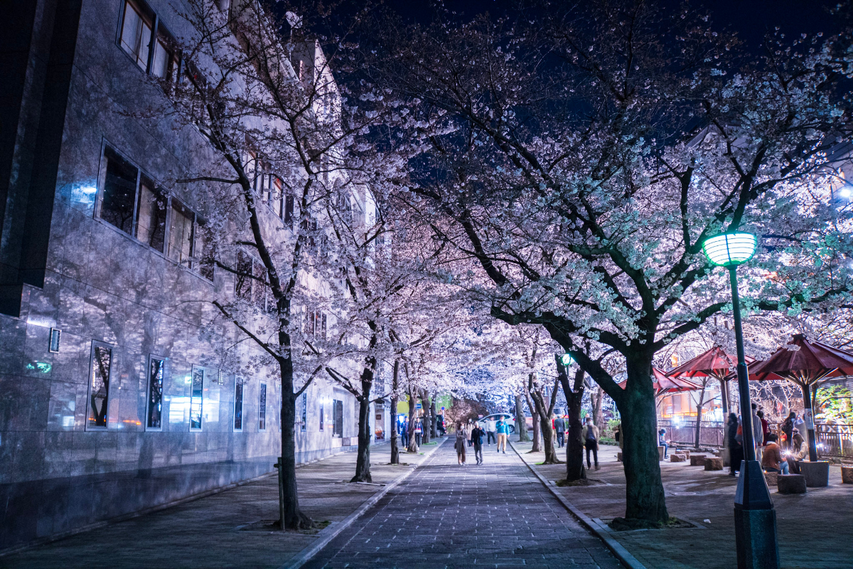 f:id:n_m_res:20210407143042j:plain