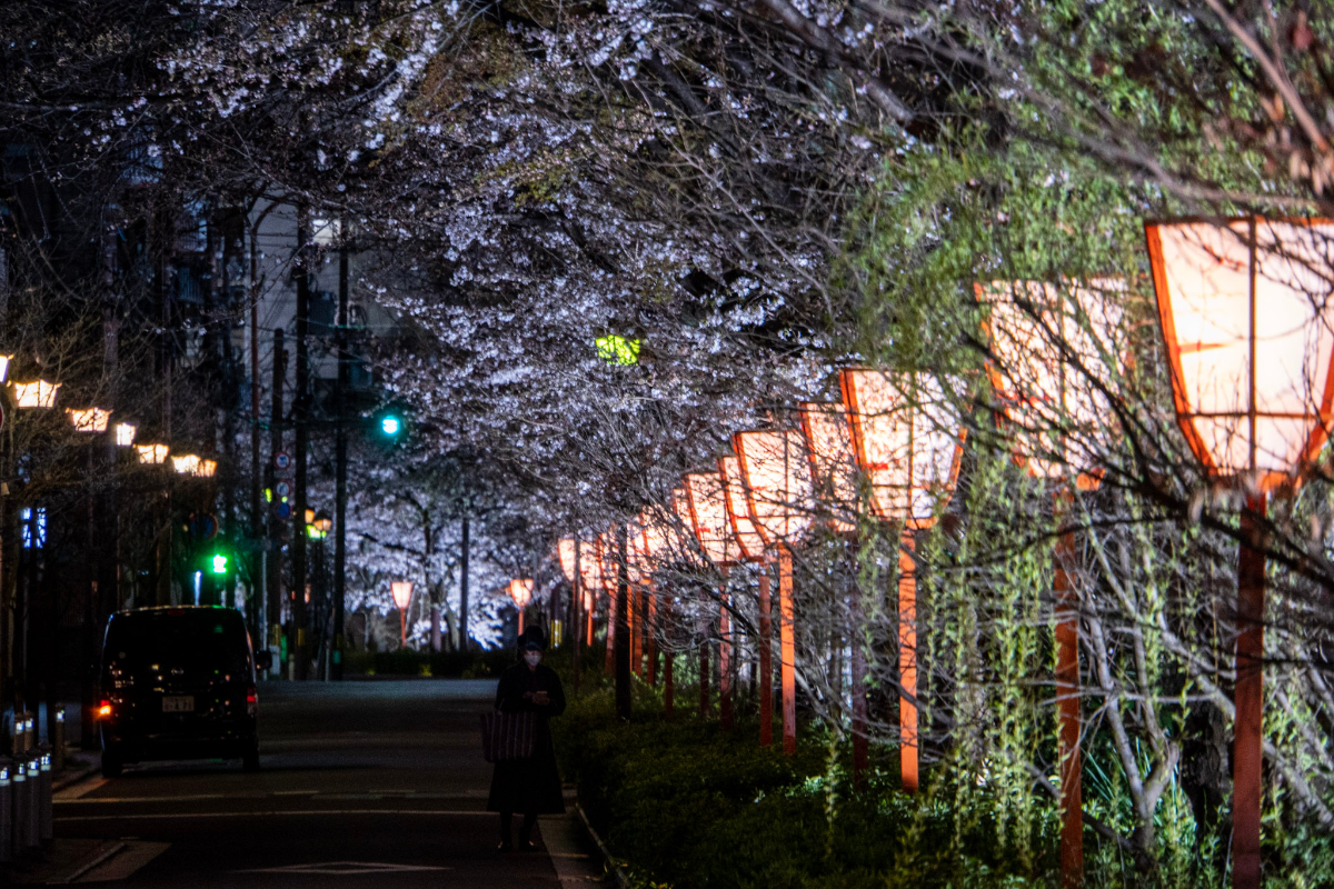 f:id:n_m_res:20210407143047j:plain