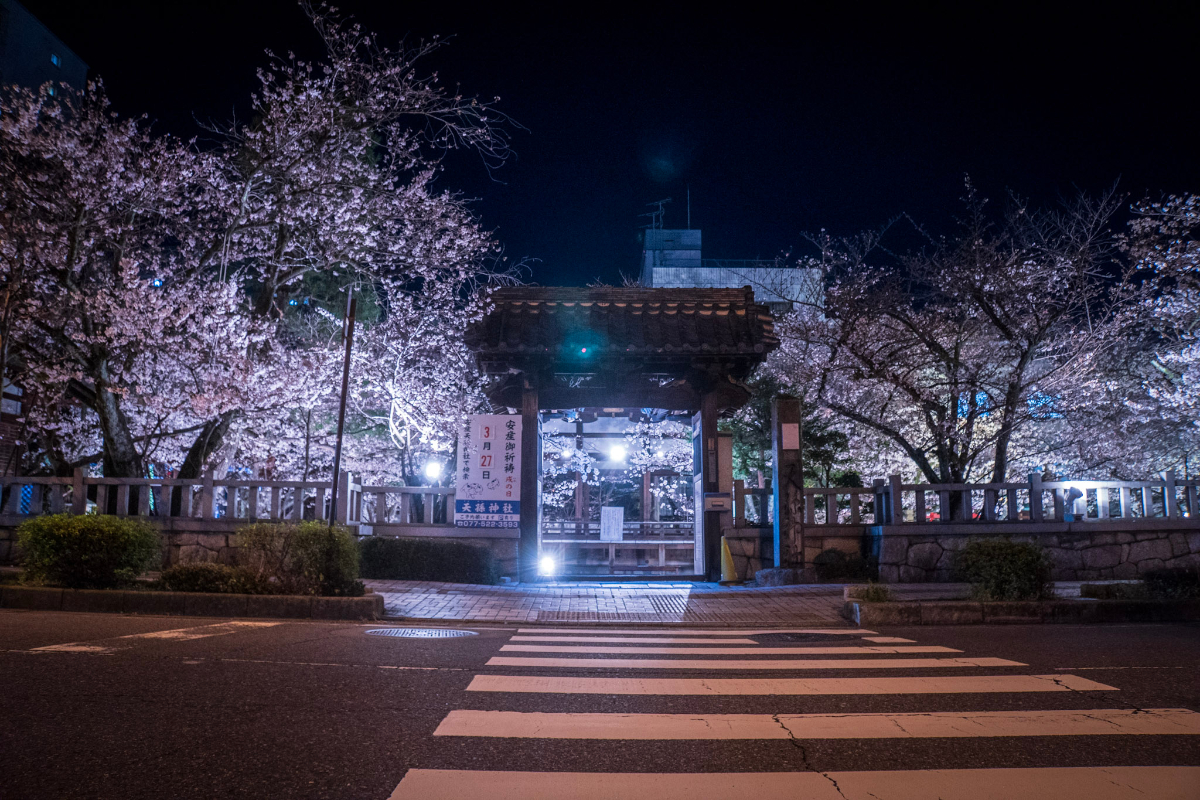 f:id:n_m_res:20210407143103j:plain