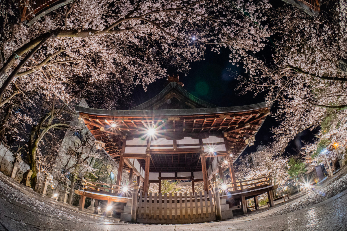 f:id:n_m_res:20210407143117j:plain