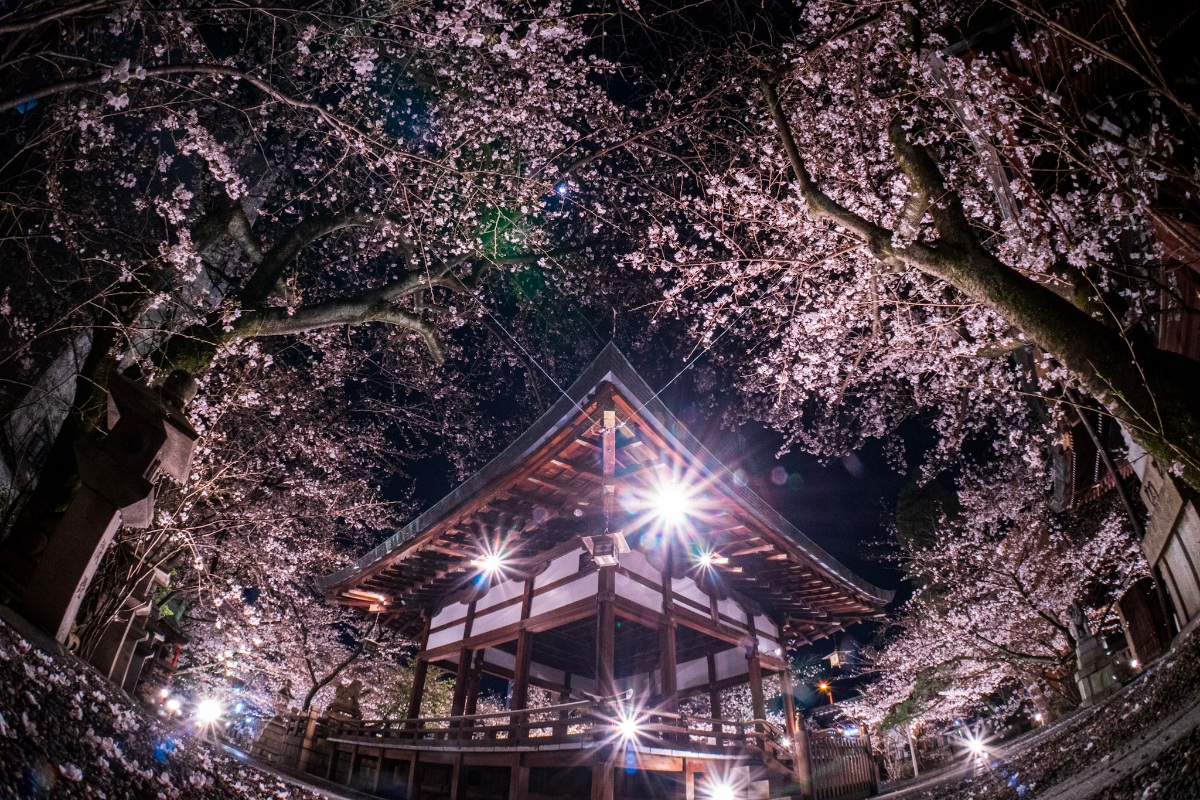 f:id:n_m_res:20210407143122j:plain