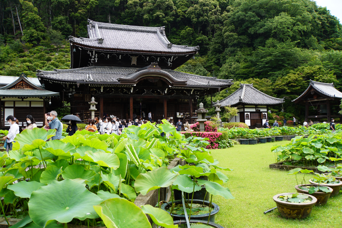 f:id:n_m_res:20210607115748j:plain