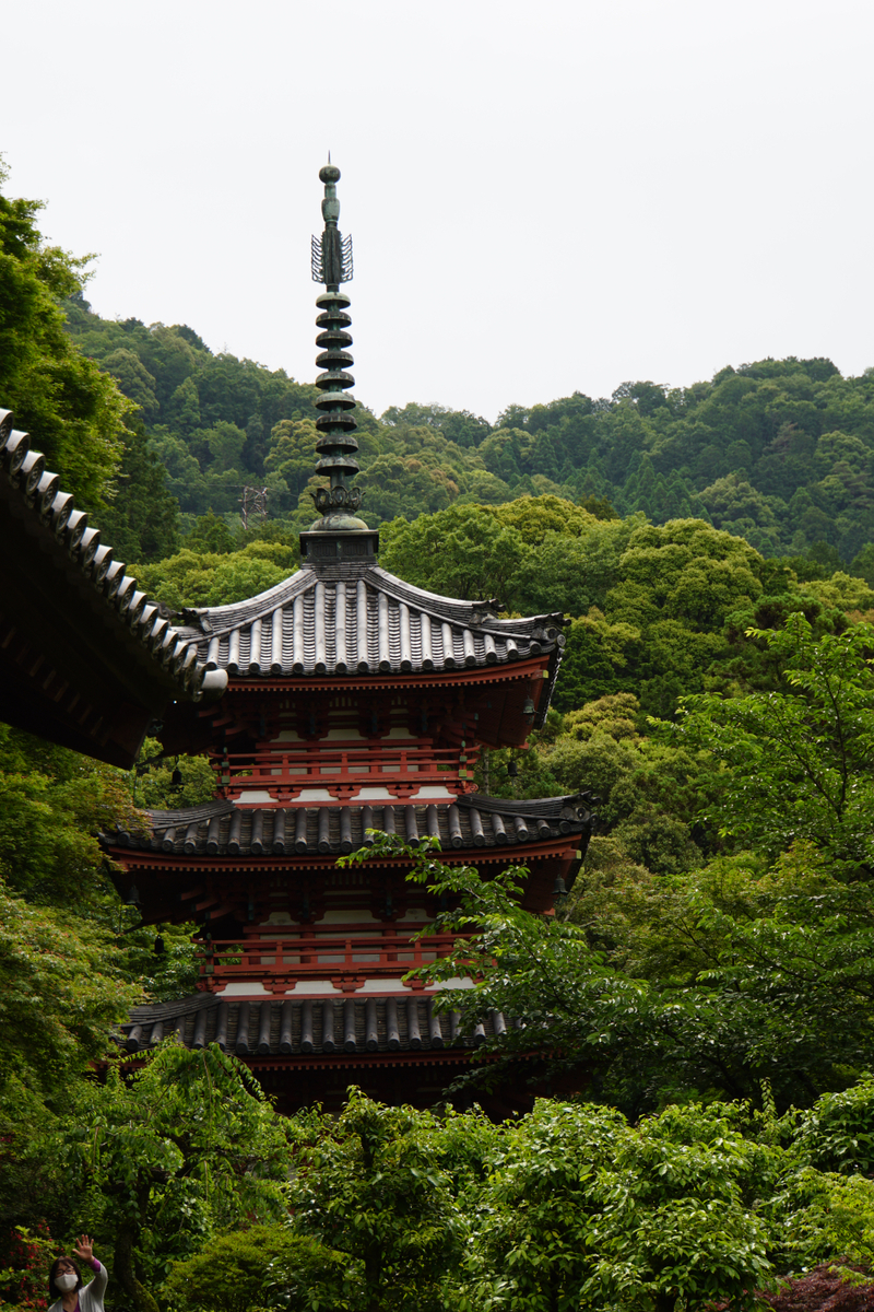 f:id:n_m_res:20210607115753j:plain