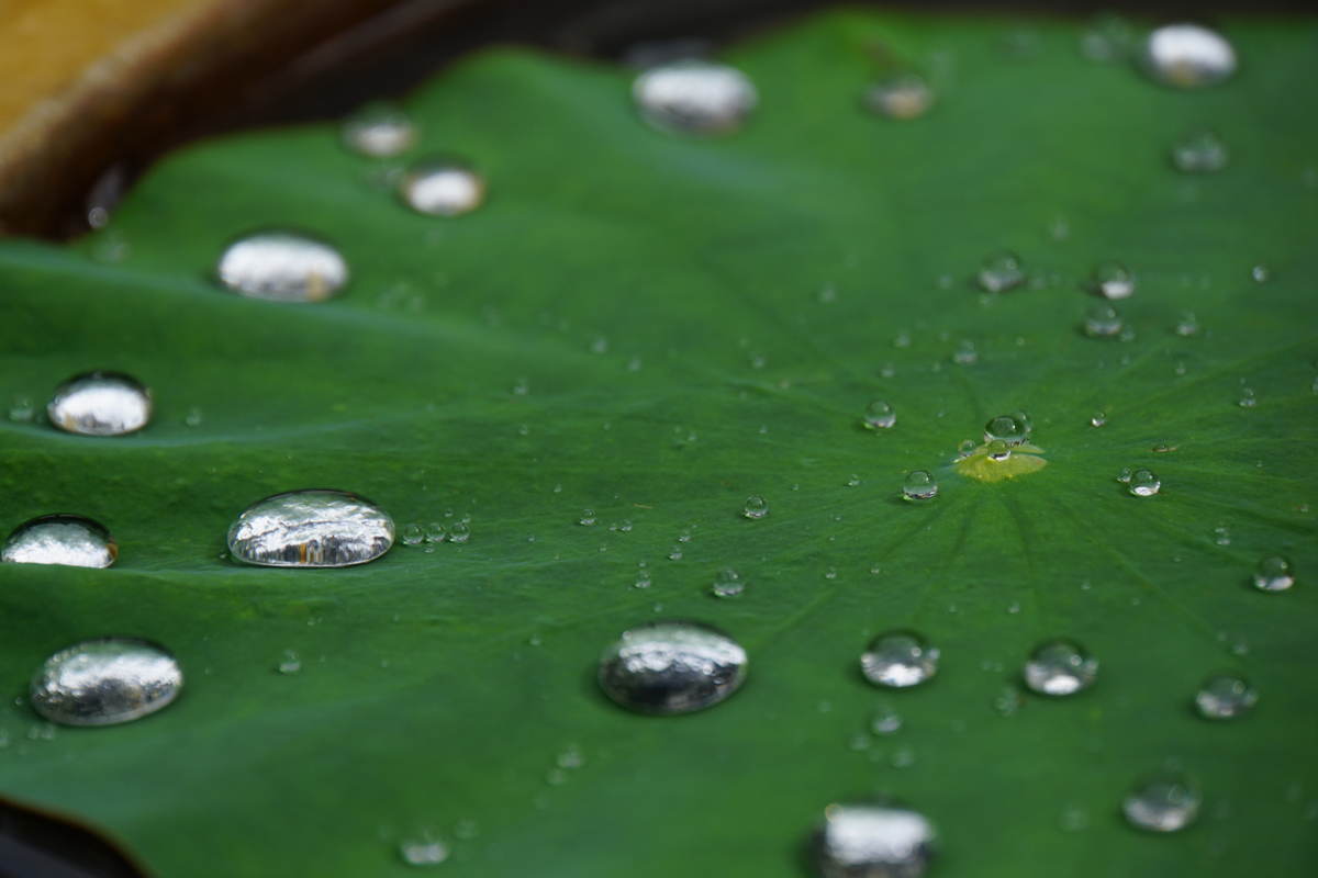 f:id:n_m_res:20210607115759j:plain