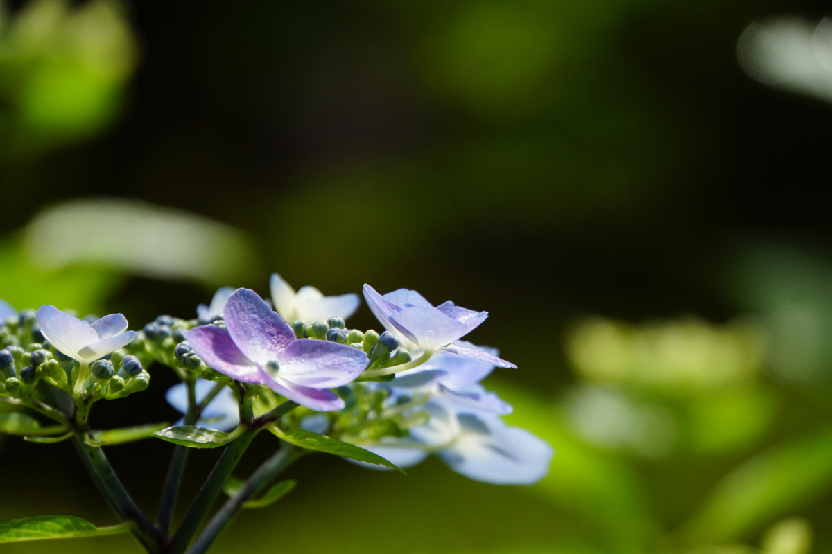 f:id:n_m_res:20210607115808j:plain