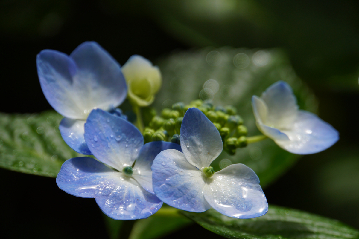 f:id:n_m_res:20210607115813j:plain