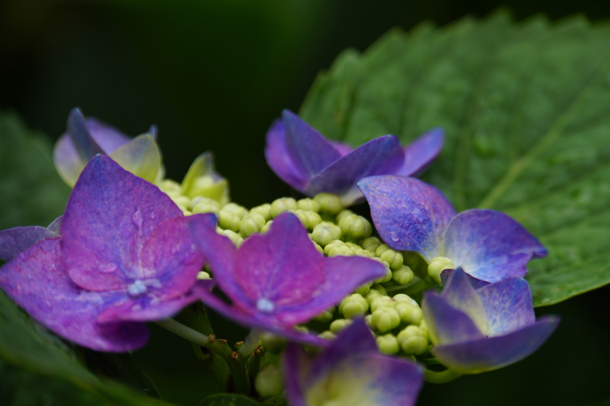 f:id:n_m_res:20210607115848j:plain