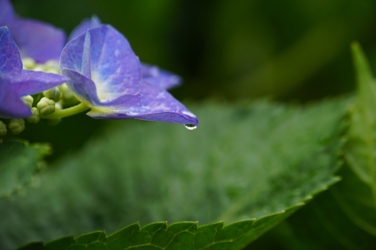 f:id:n_m_res:20210607115854j:plain