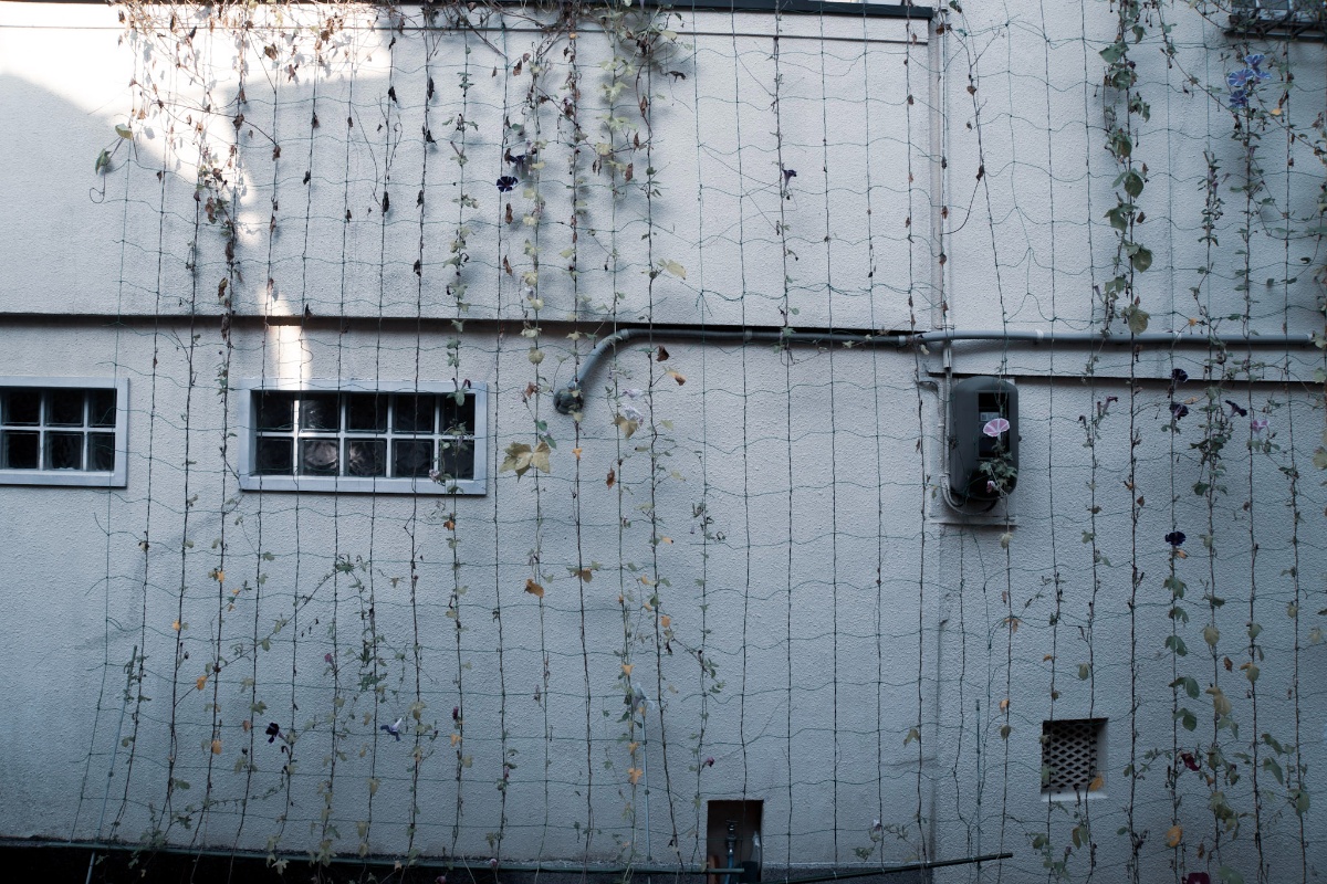 f:id:n_m_res:20211013142353j:plain