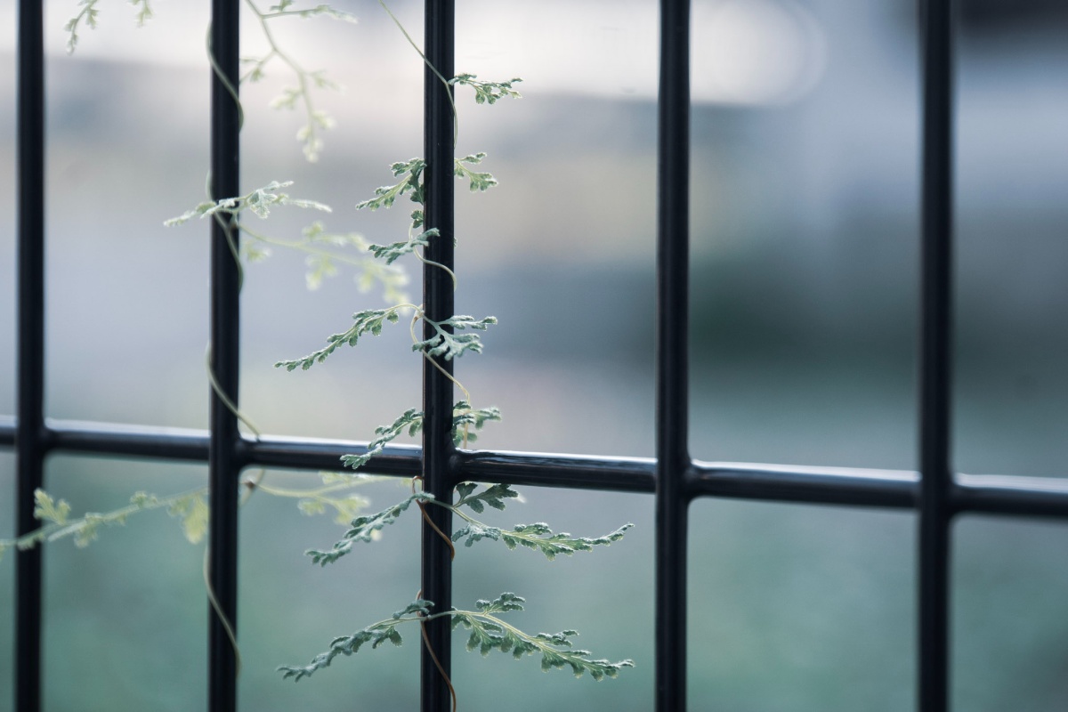 f:id:n_m_res:20211013142358j:plain