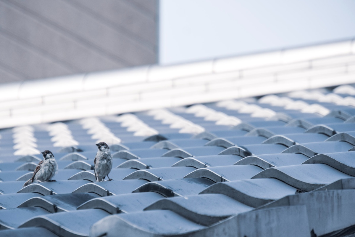 f:id:n_m_res:20211013142415j:plain