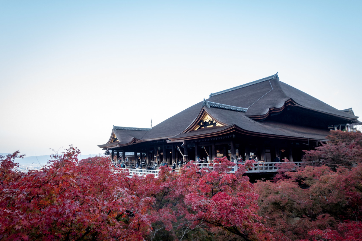 f:id:n_m_res:20211222153845j:plain