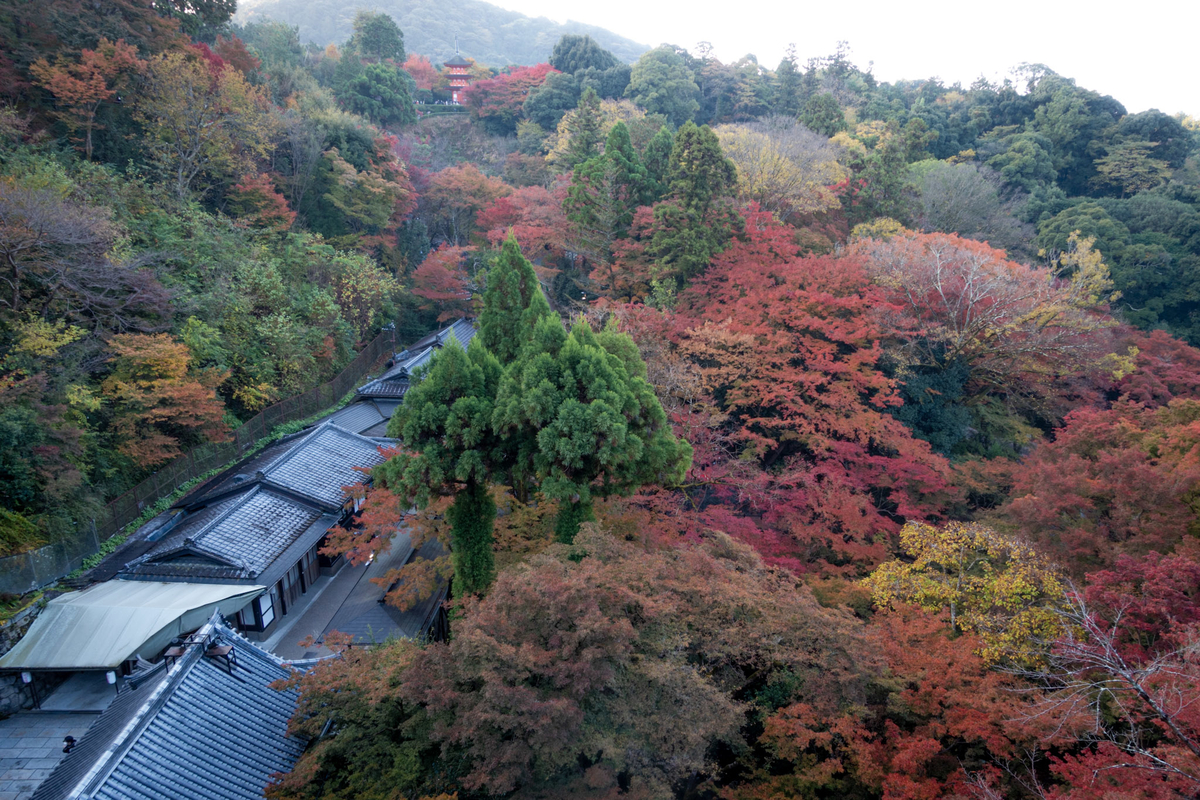 f:id:n_m_res:20211222153851j:plain