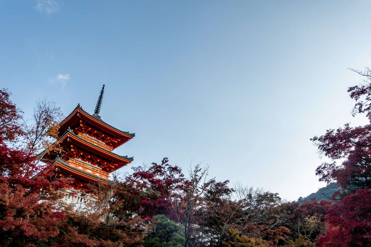 f:id:n_m_res:20211222153917j:plain