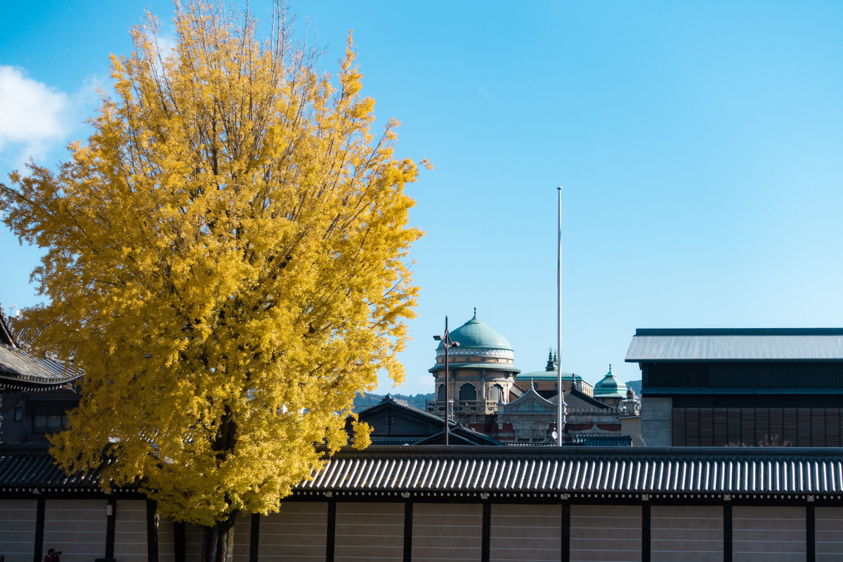 f:id:n_m_res:20211222153920j:plain