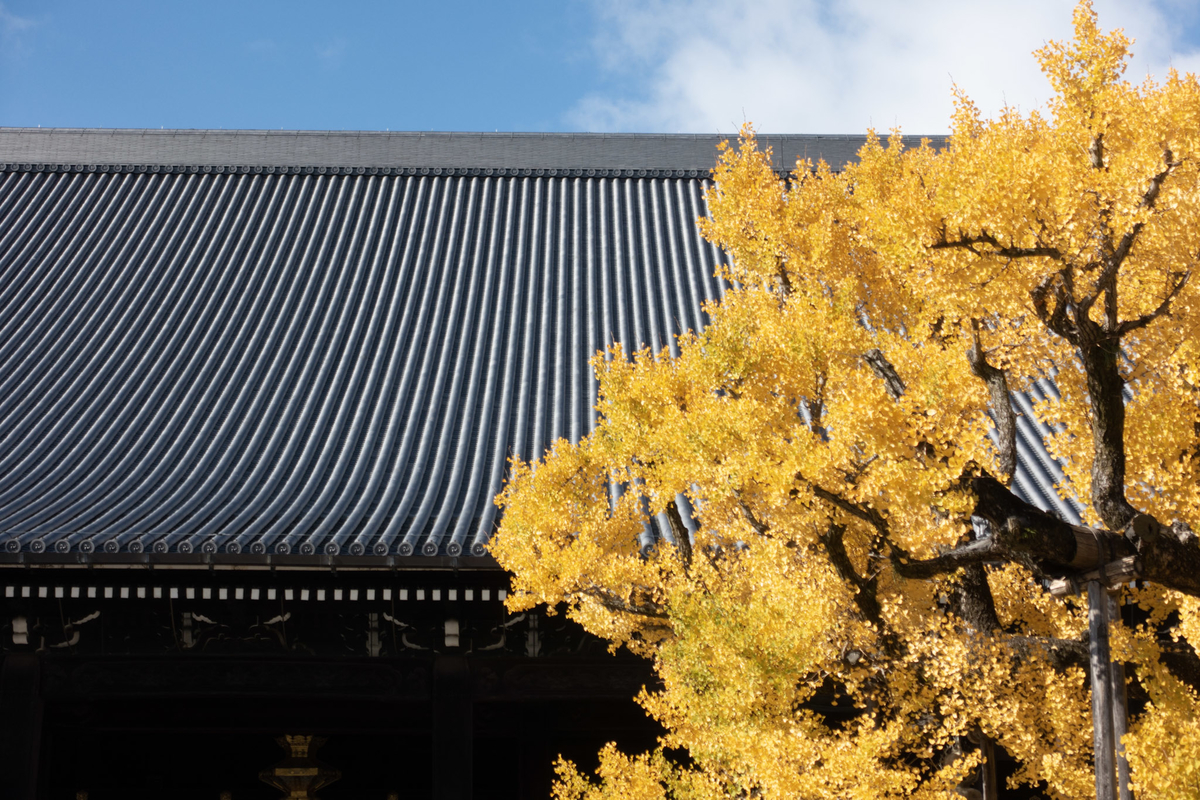 f:id:n_m_res:20211222153924j:plain