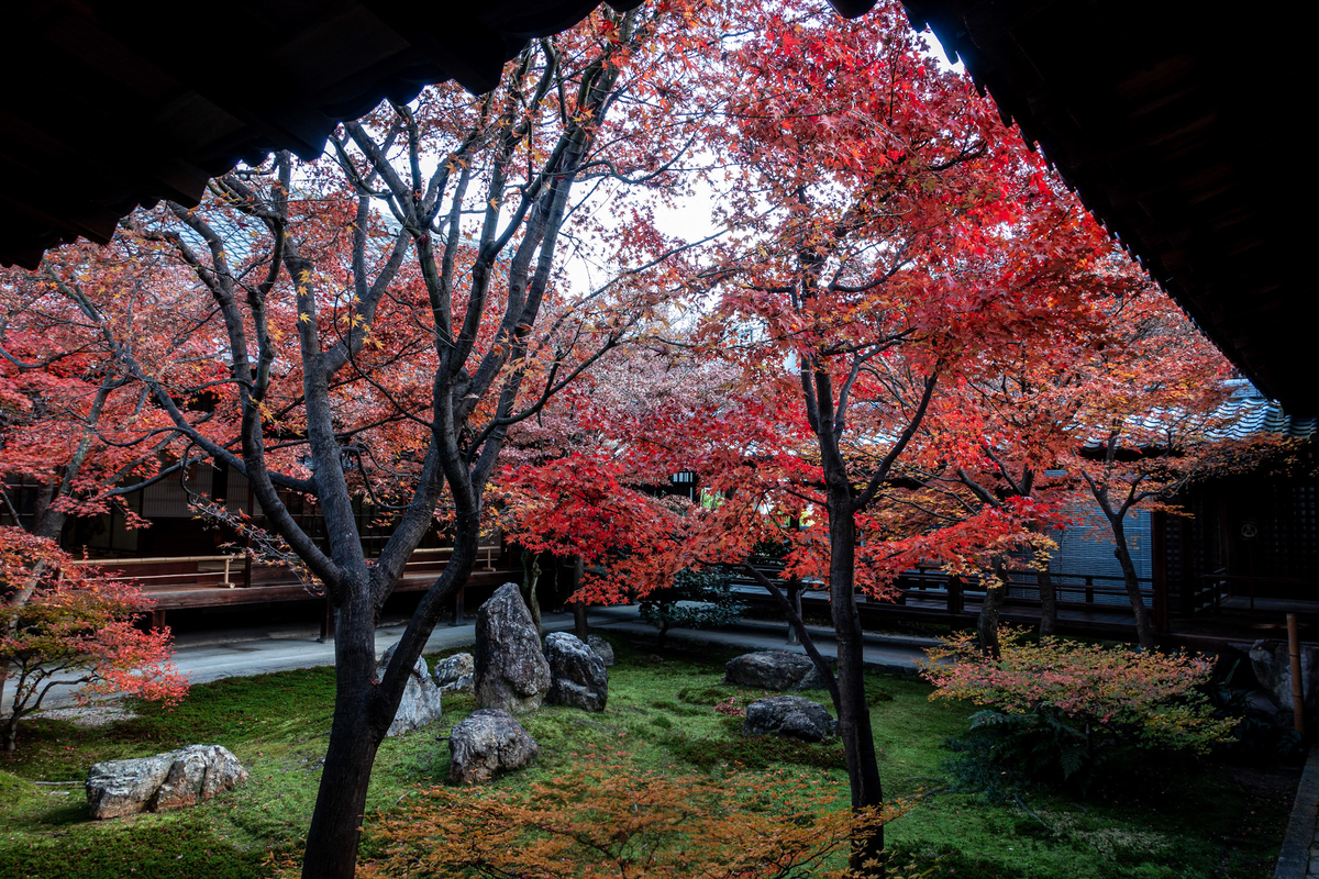 f:id:n_m_res:20211222153935j:plain