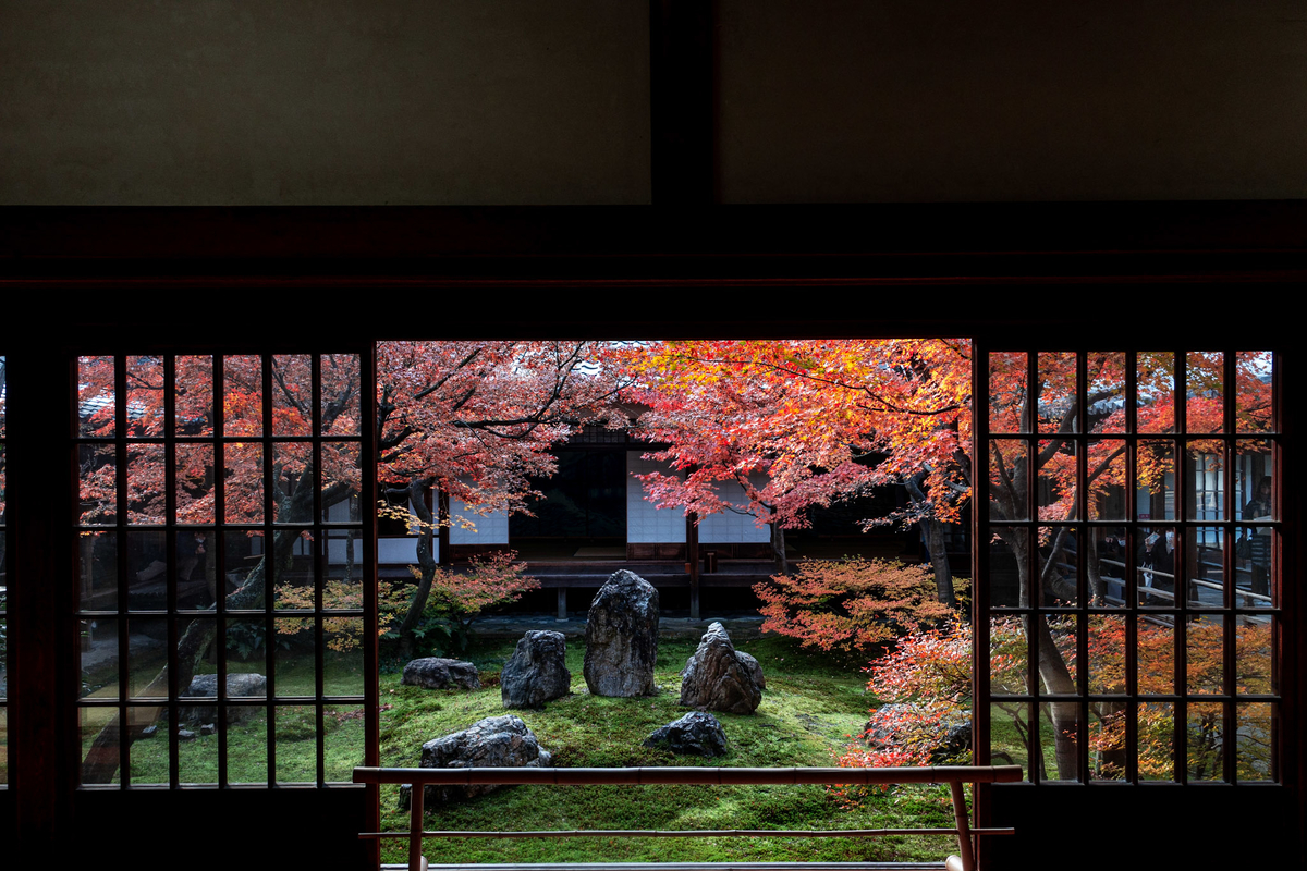 f:id:n_m_res:20211222153941j:plain