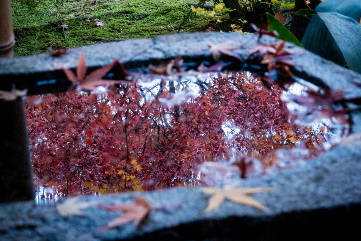 f:id:n_m_res:20211222153946j:plain