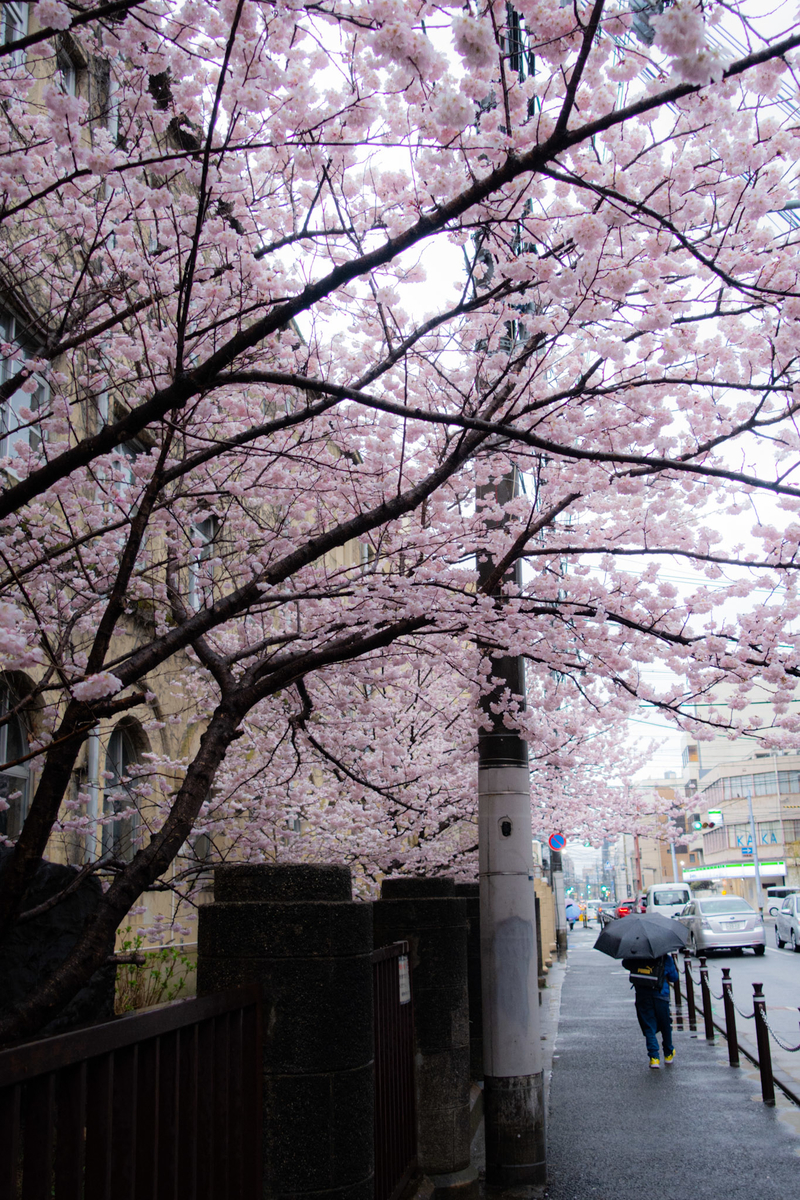 f:id:n_m_res:20220401100311j:plain