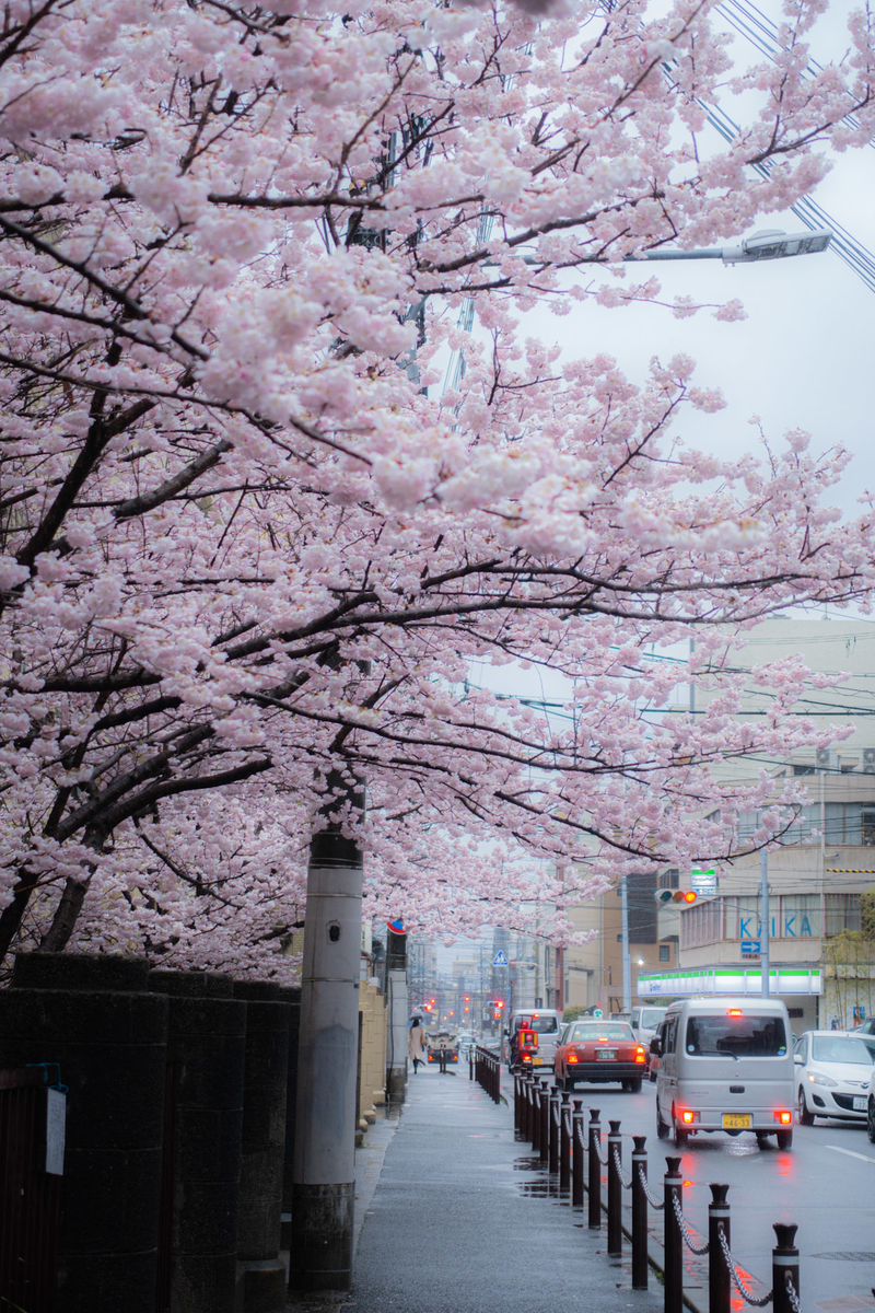 f:id:n_m_res:20220401100339j:plain