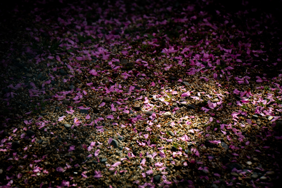 f:id:n_m_res:20220401102813j:plain