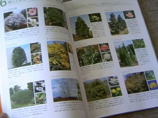 f:id:n_n:20091004123828j:image:w180