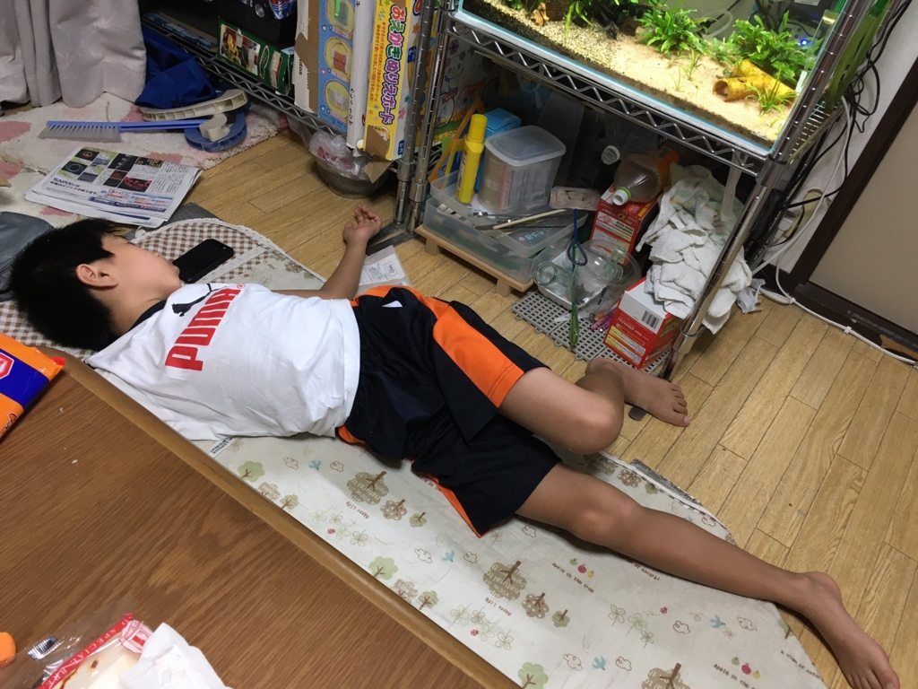 f:id:n_nomusan:20160812185058j:image:w80:right
