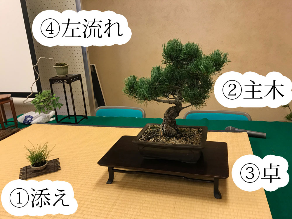左流れの五葉松を主木に席飾りをさせてもらいました 17年 大宮盆栽デイズ Omiya Bonsai Days