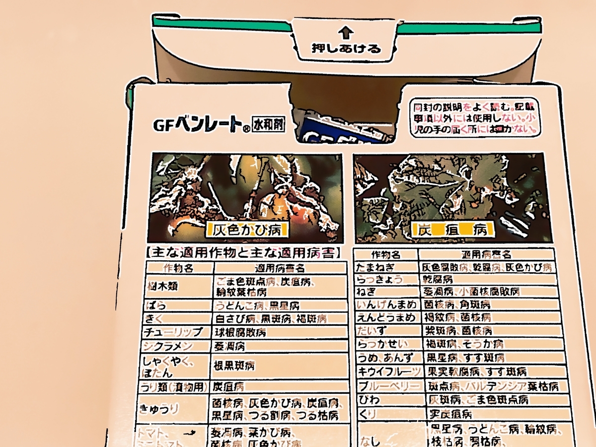 INED イネド フォックスファー付き アンゴラ ロングコート 大きいサイズ INED イネド フォックスファー付き アンゴラ ロングコート 大きいサイズ