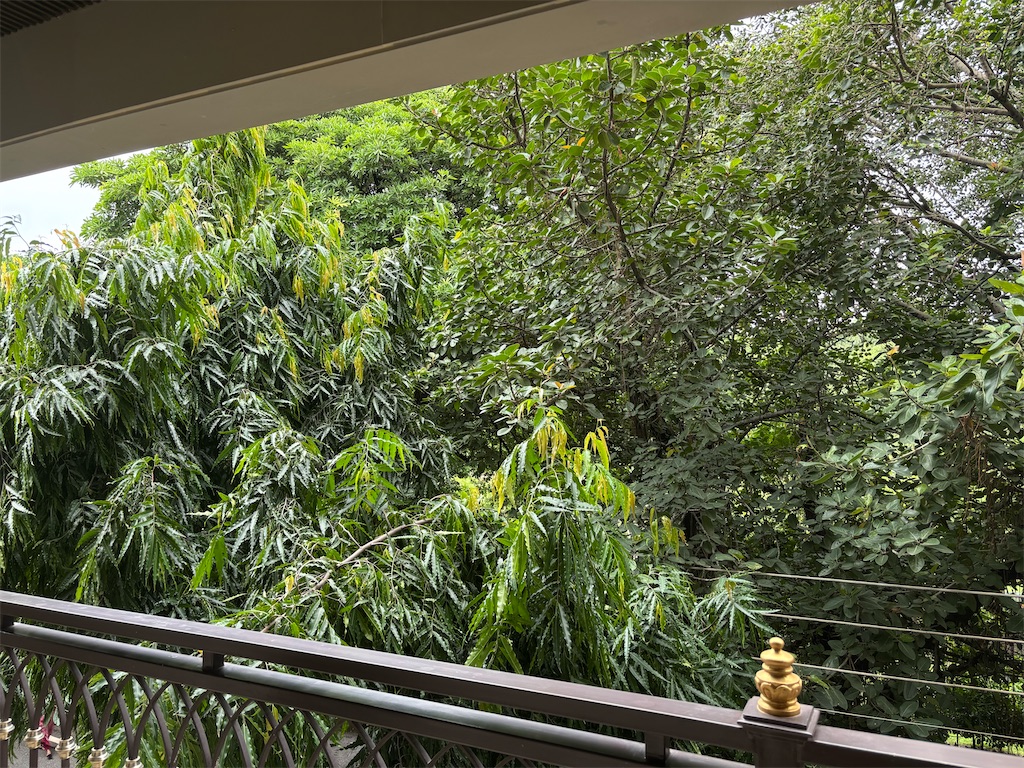 f:id:na-india:20250903034740j:image