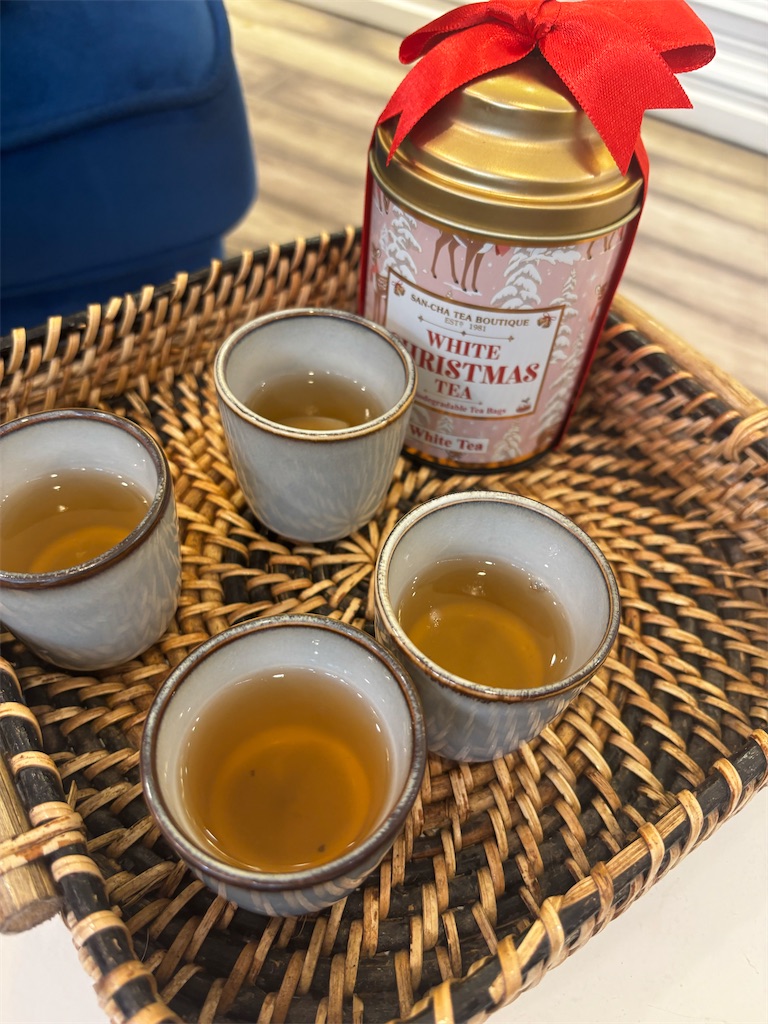 f:id:na-india:20251115134247j:image