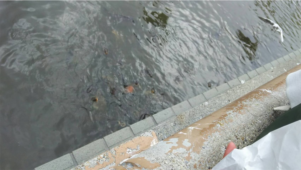 f:id:na-ko_na-ko:20201114111803j:image